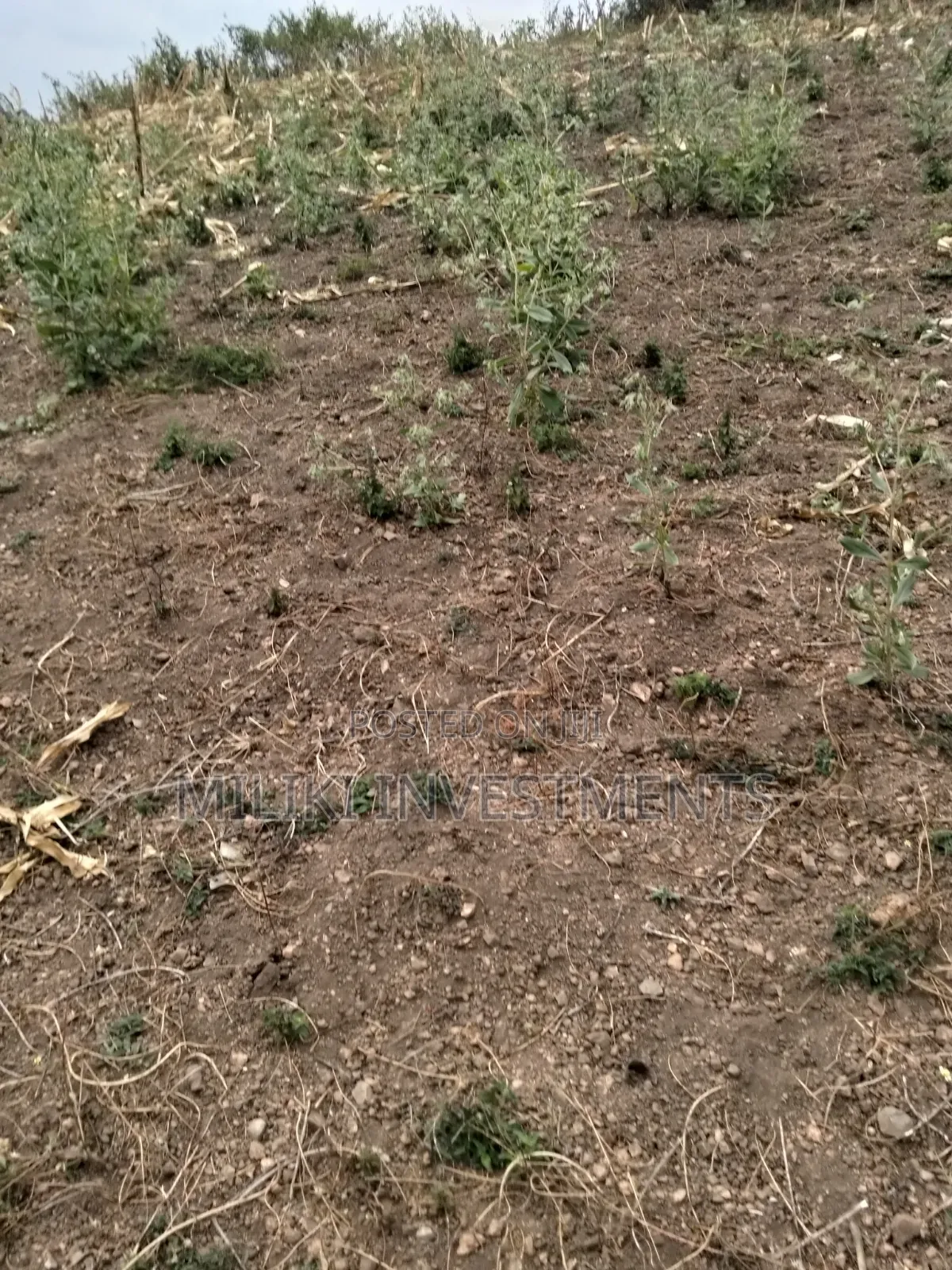 35 Acres of Land on Sale at SabaSaba -Igikiro Area