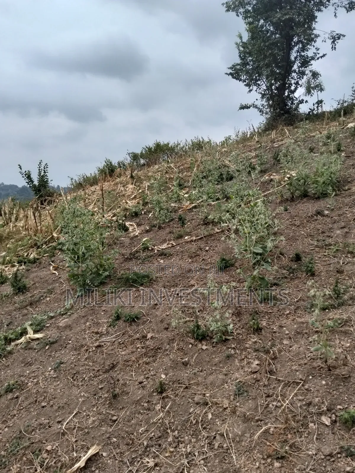 35 Acres of Land on Sale at SabaSaba -Igikiro Area