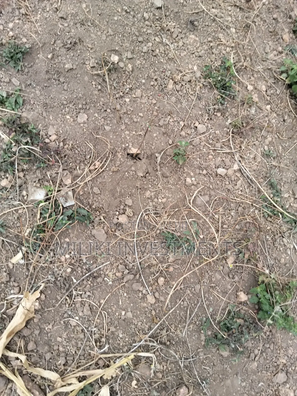 35 Acres of Land on Sale at SabaSaba -Igikiro Area