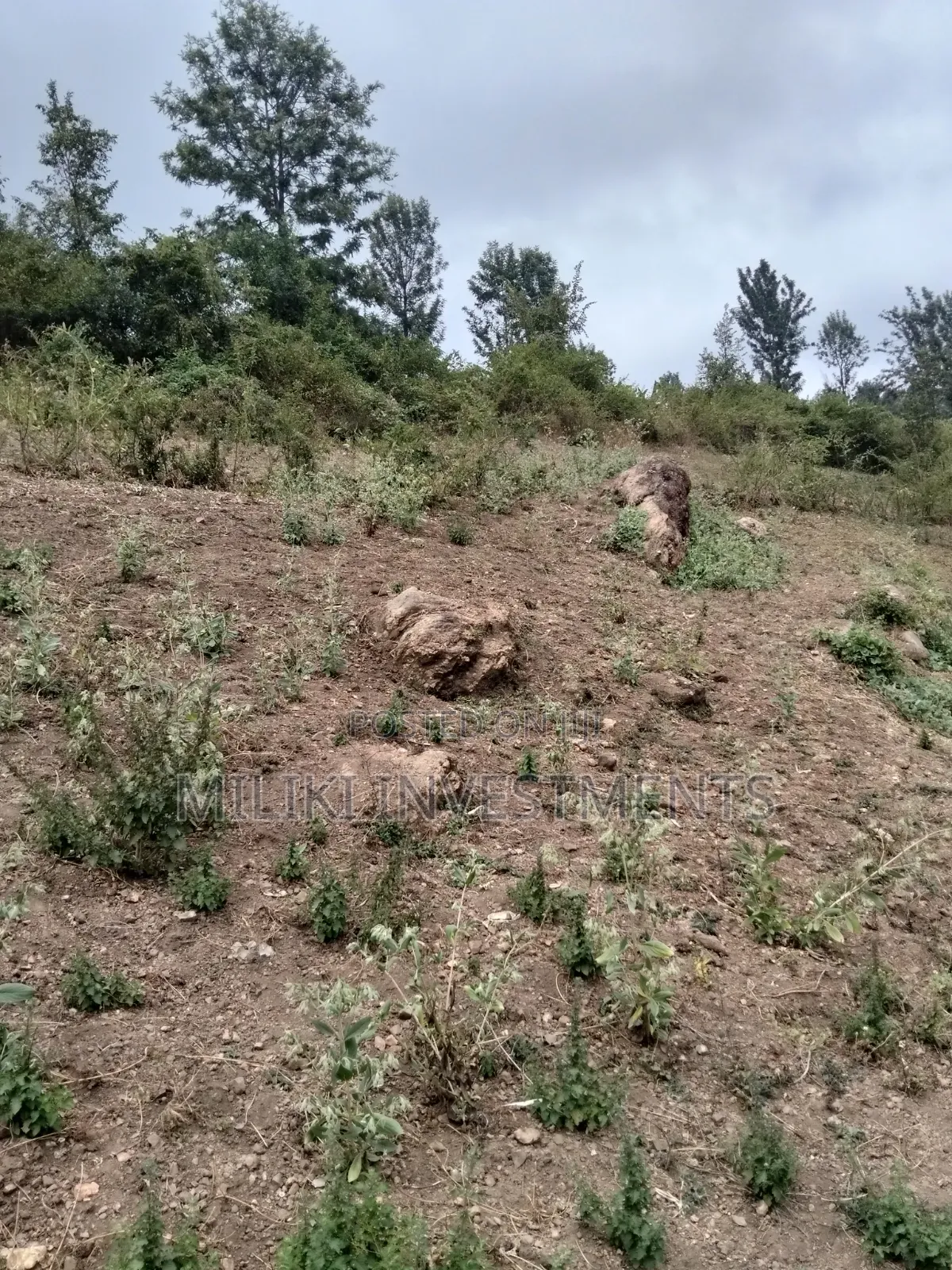 35 Acres of Land on Sale at SabaSaba -Igikiro Area