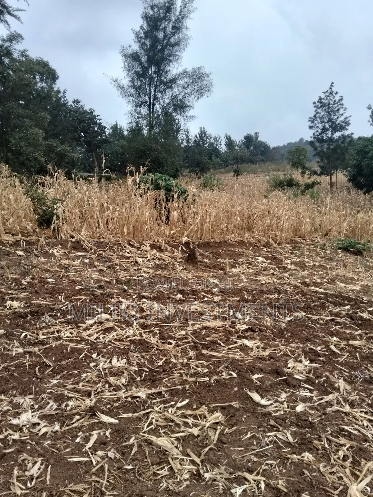 35 Acres of Land on Sale at SabaSaba -Igikiro Area