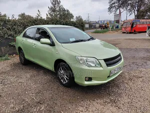 Toyota Axio 2009 Green