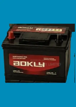Aokly Maintenance Free Car Battery N90