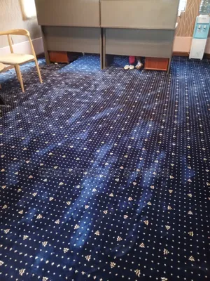 Blue Office Carpets in Executive Version Underlayed