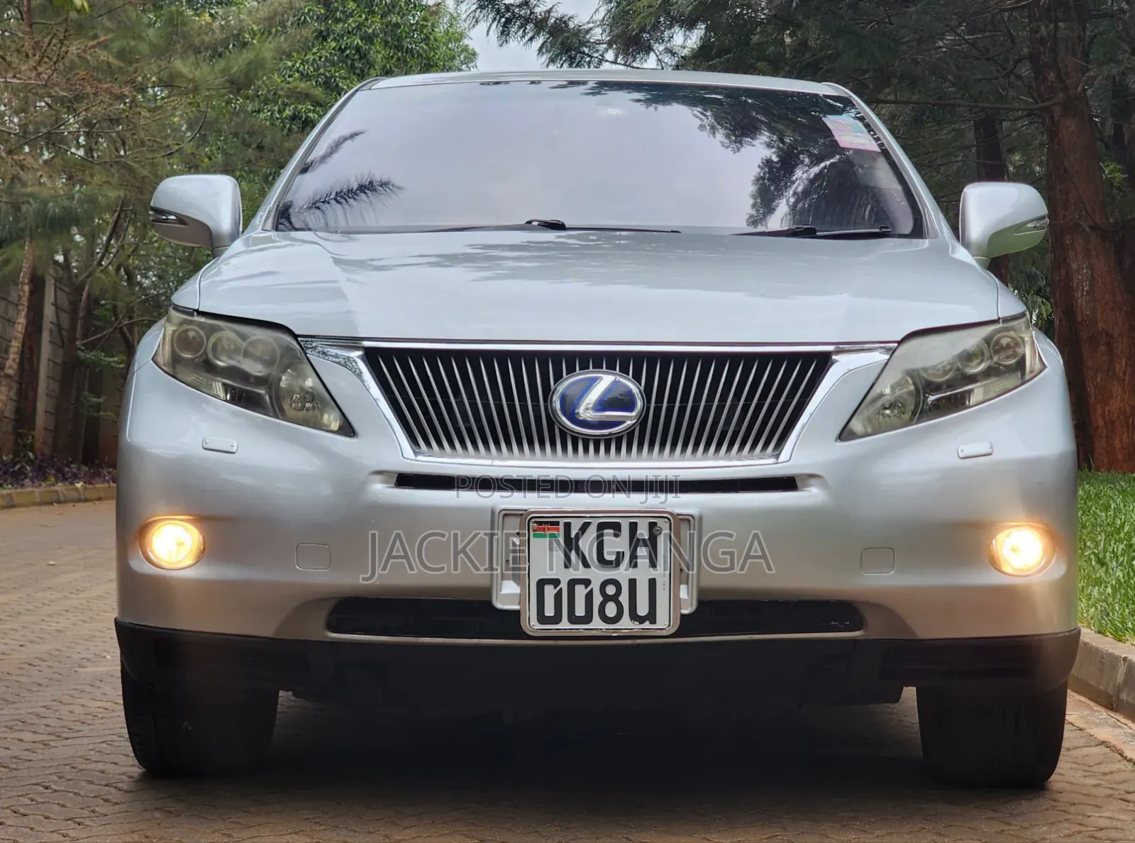 Lexus RX 2010 Silver