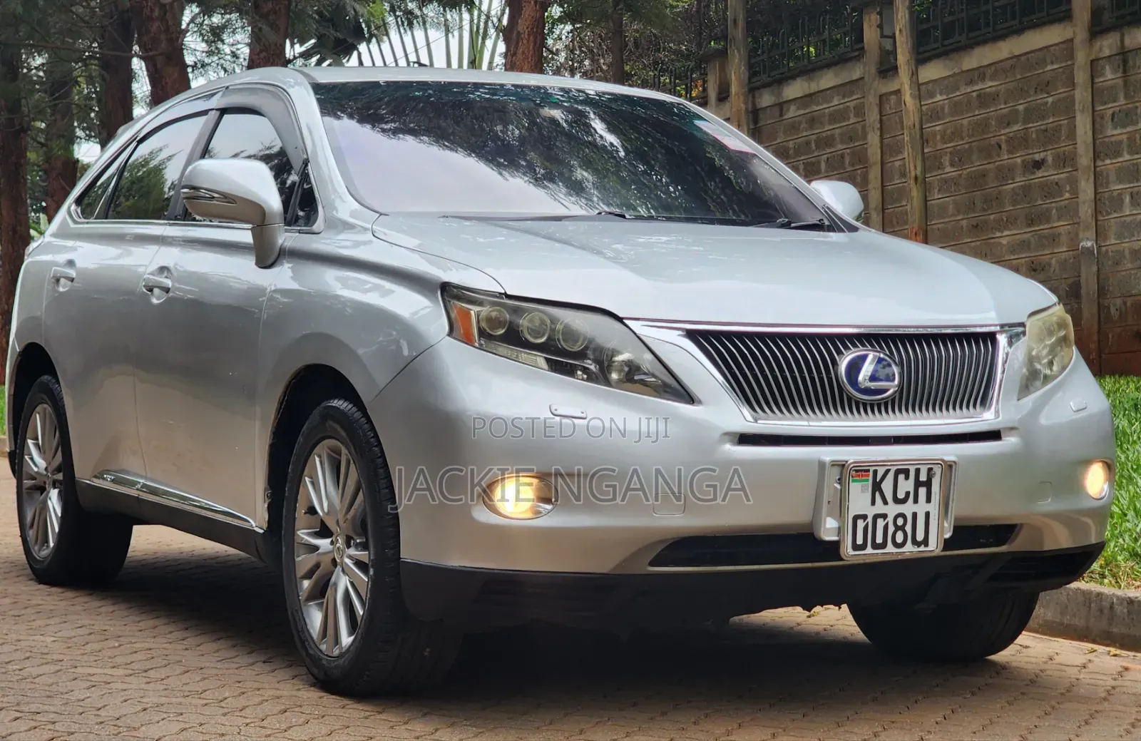 Lexus RX 2010 Silver
