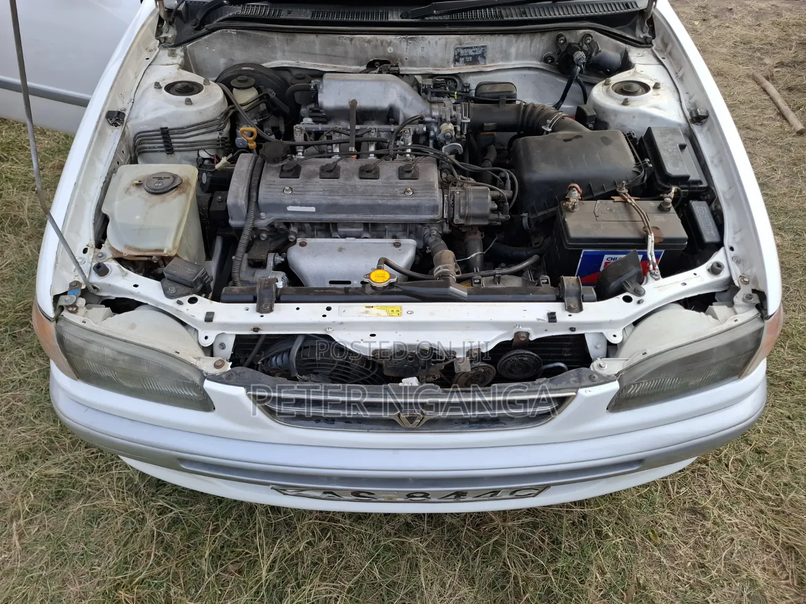 Toyota Corolla 1998 Off white