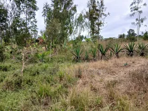 Half an Acre on Sale at Gatanga-Ithanga