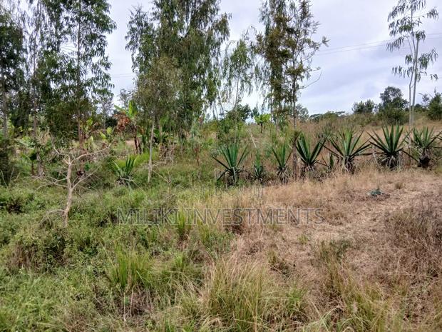 Half an Acre on Sale at Gatanga-Ithanga - thumbnail 3