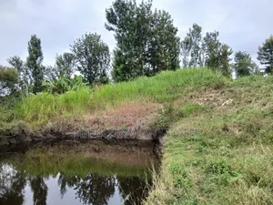 Half an Acre on Sale at Gatanga-Ithanga