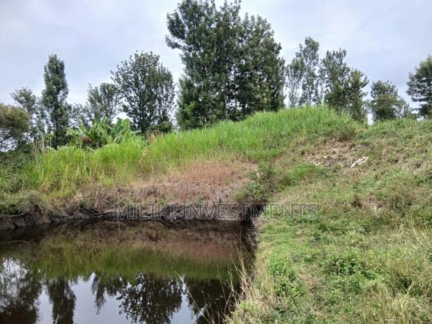 Half an Acre on Sale at Gatanga-Ithanga - thumbnail 5
