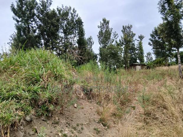 Half an Acre on Sale at Gatanga-Ithanga - thumbnail 2