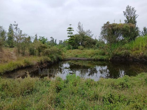 Half an Acre on Sale at Gatanga-Ithanga - main view