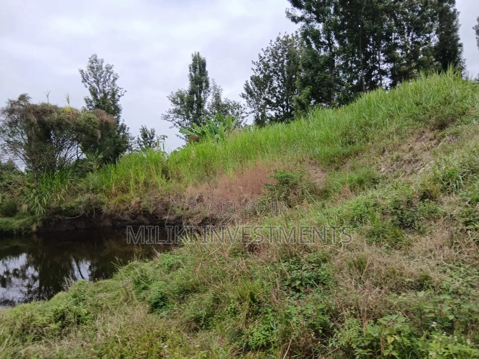 Half an Acre on Sale at Gatanga-Ithanga