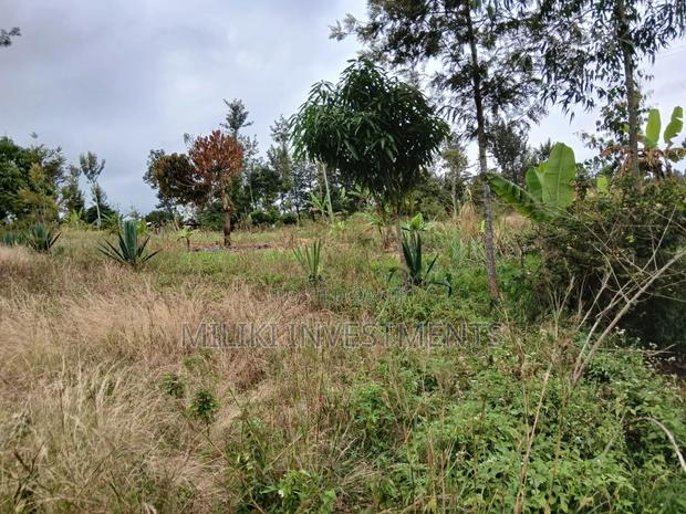 Half an Acre on Sale at Gatanga-Ithanga - thumbnail 8