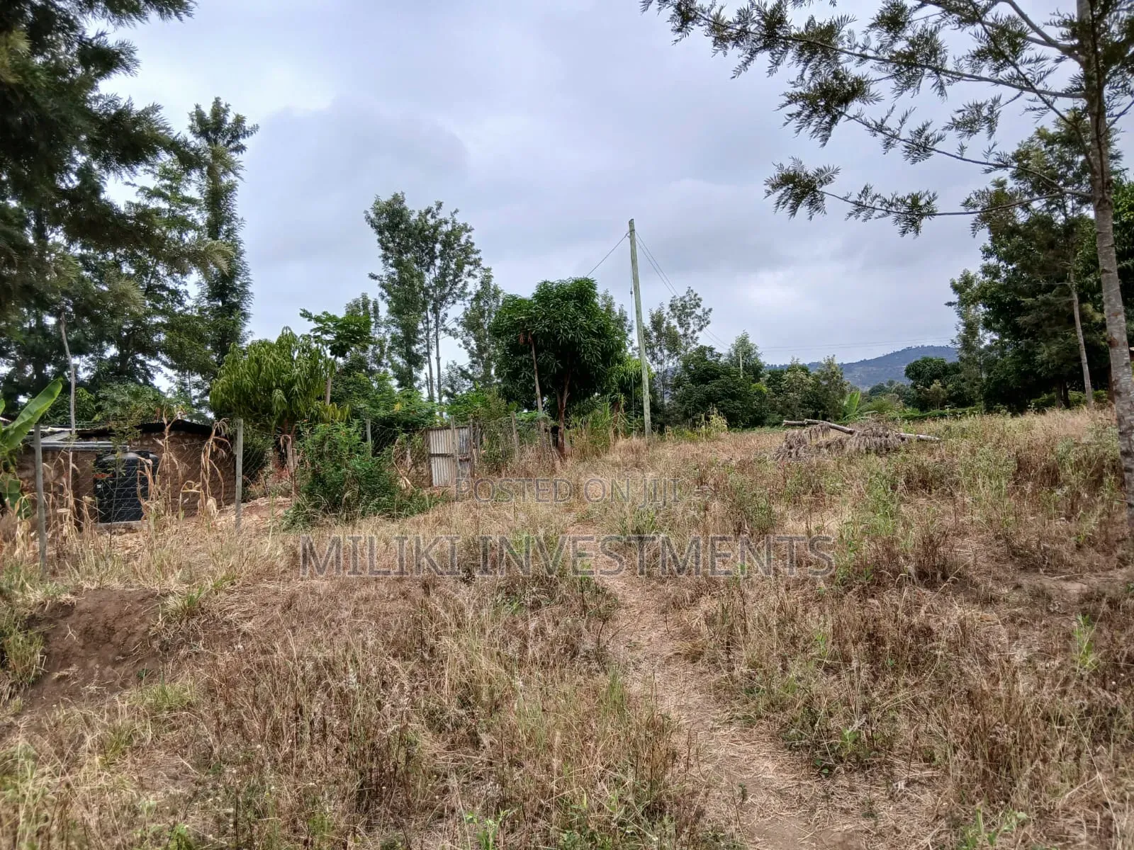 Half an Acre on Sale at Gatanga-Ithanga