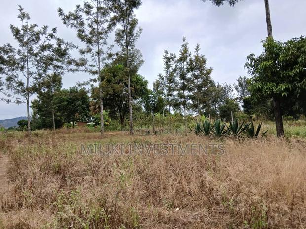 Half an Acre on Sale at Gatanga-Ithanga - thumbnail 10