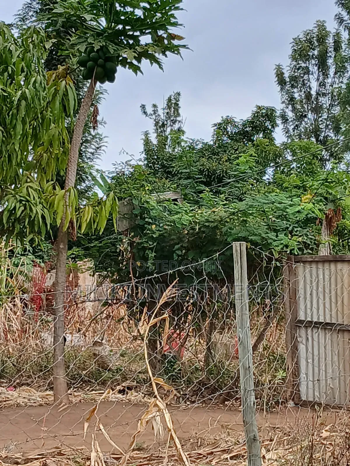 Half an Acre on Sale at Gatanga-Ithanga