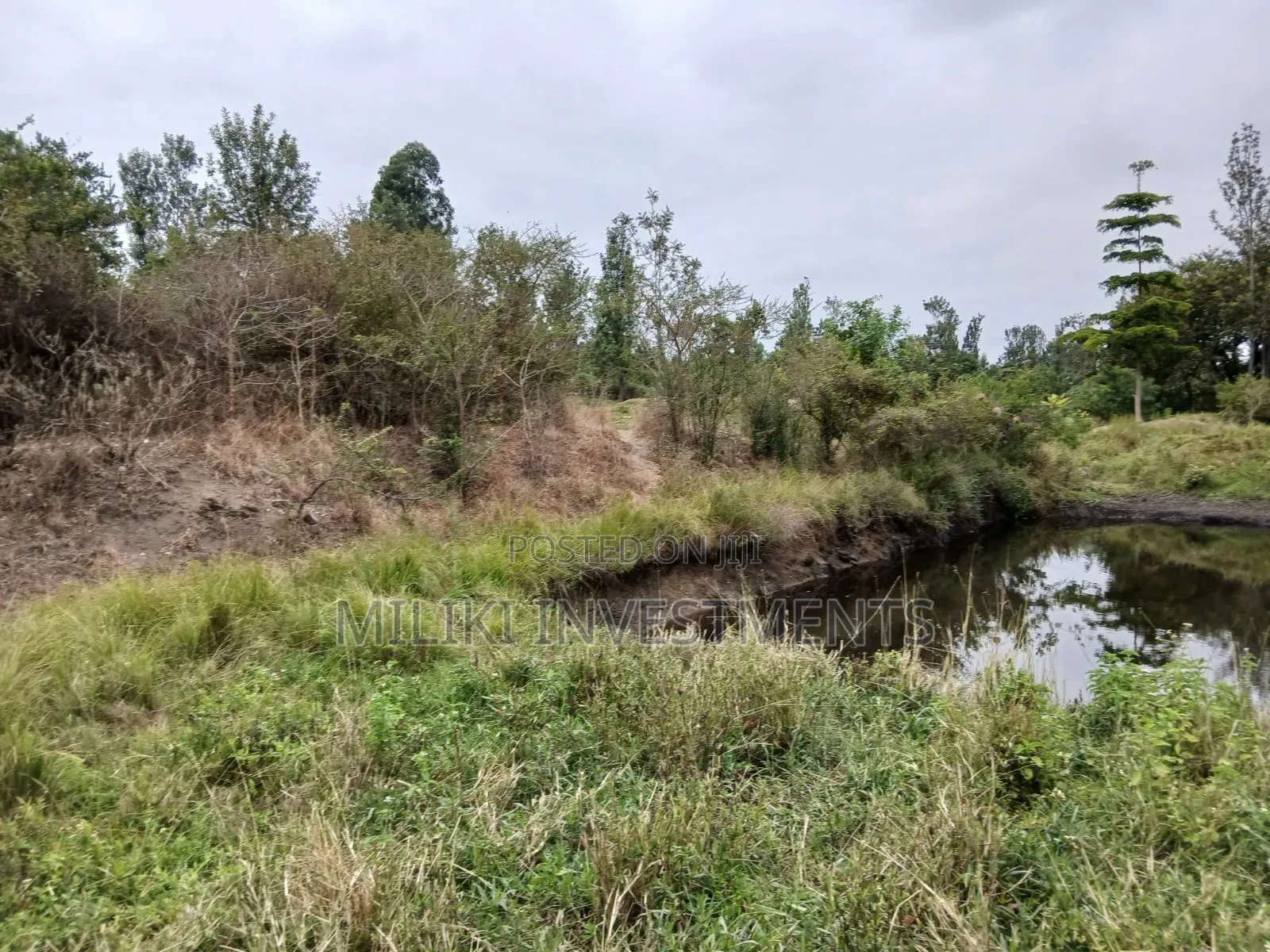 Half an Acre on Sale at Gatanga-Ithanga