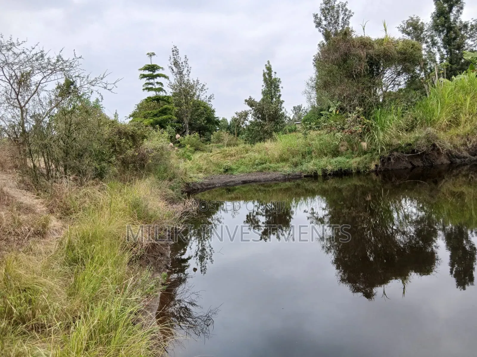 Half an Acre on Sale at Gatanga-Ithanga