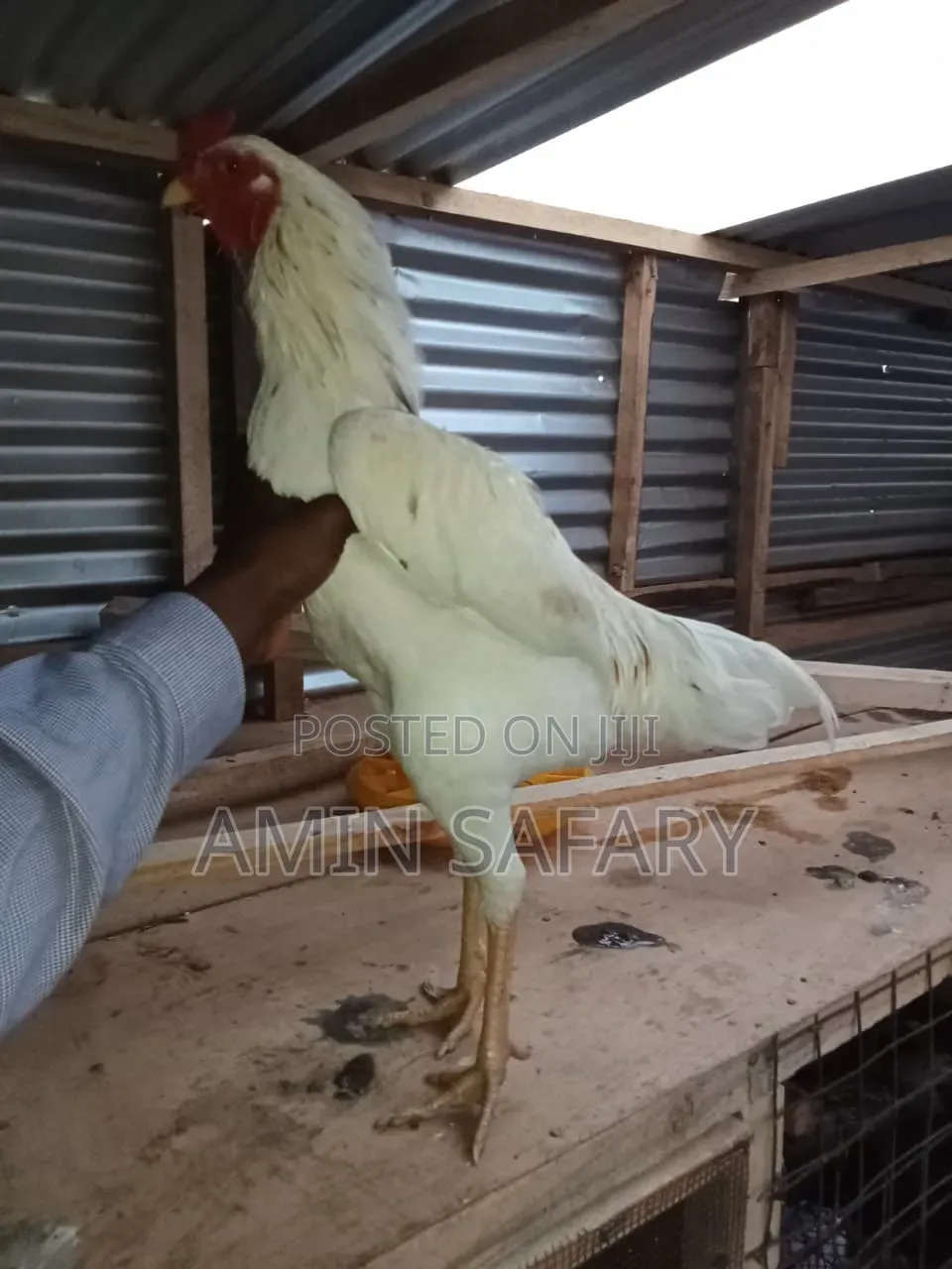 Mixed Kuchi Chicken