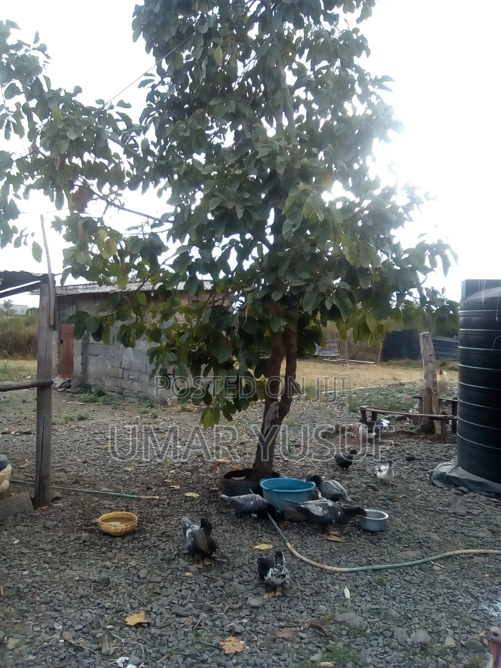 3bdrm House in Ruai for sale