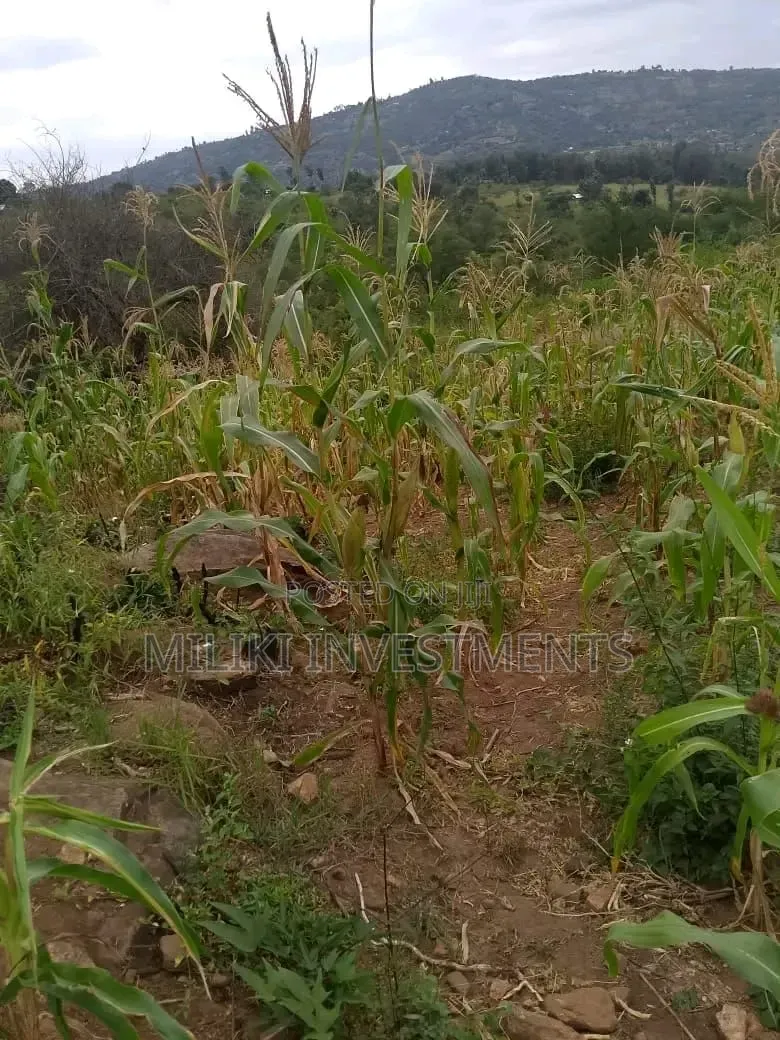 1 Acre on Sale at Gatanga
