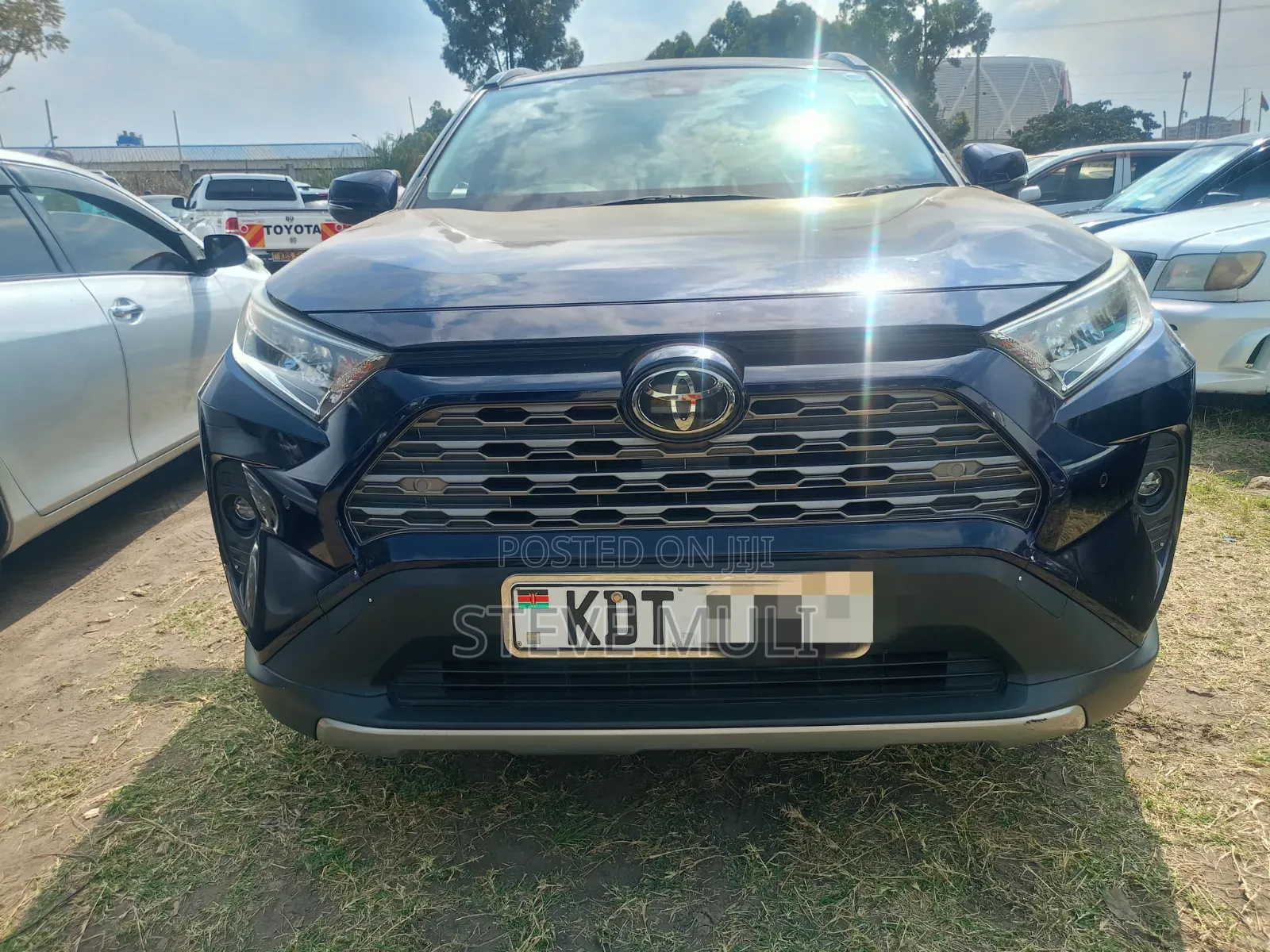 Toyota RAV4 2019 Blue
