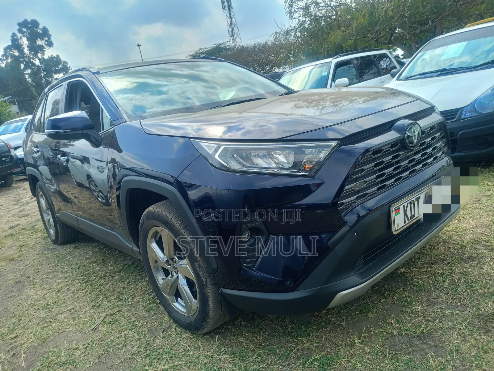 Toyota RAV4 2019 Blue