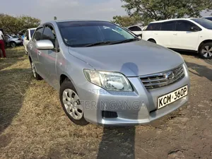 Toyota Axio 2010 Silver