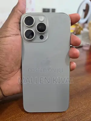 Apple iPhone 15 Pro Max 256 GB Gray