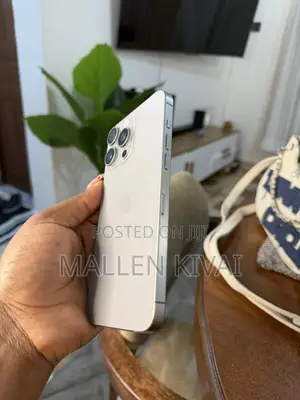Apple iPhone 15 Pro Max 256 GB Gray