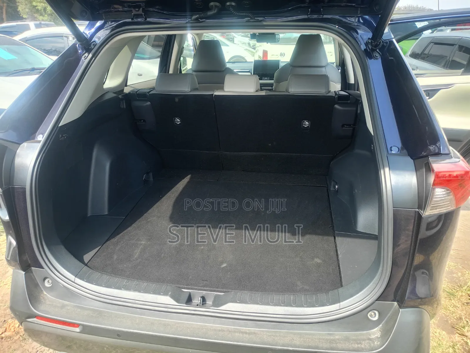 Toyota RAV4 2019 Blue