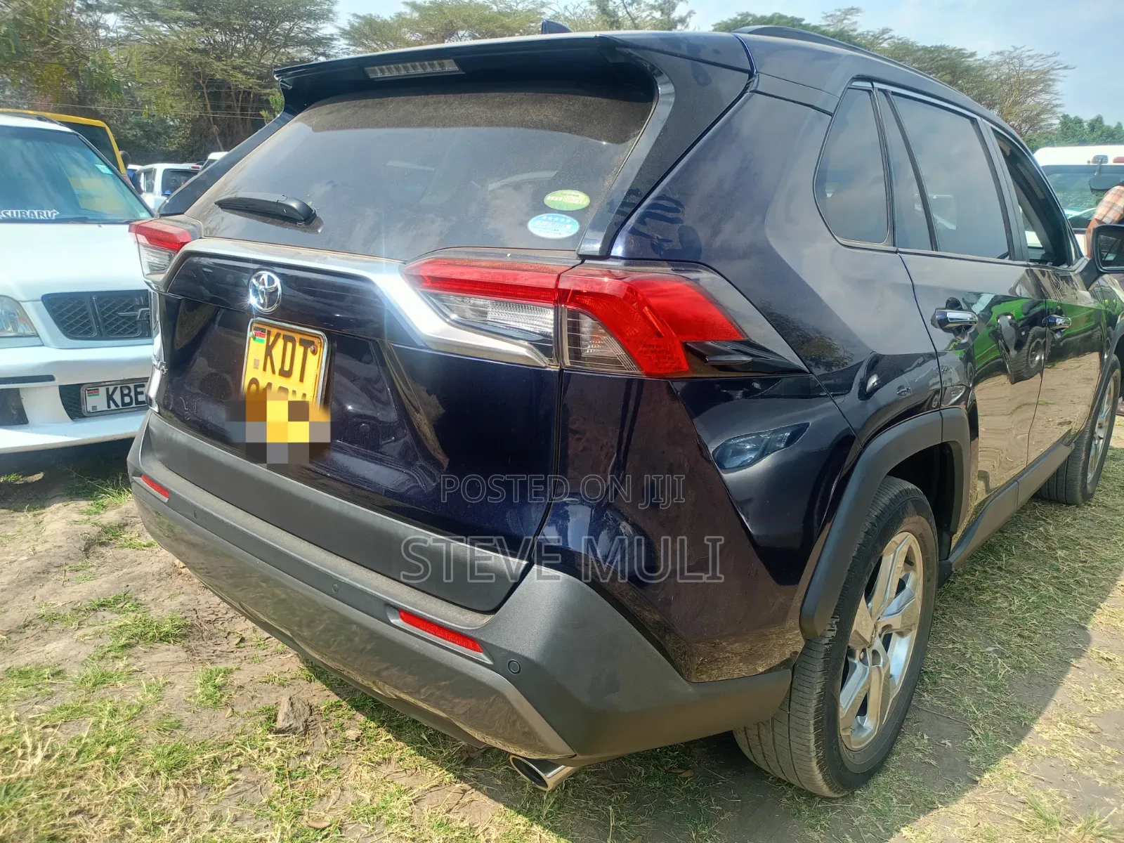 Toyota RAV4 2019 Blue