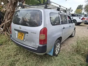 Toyota Probox 2007 Silver