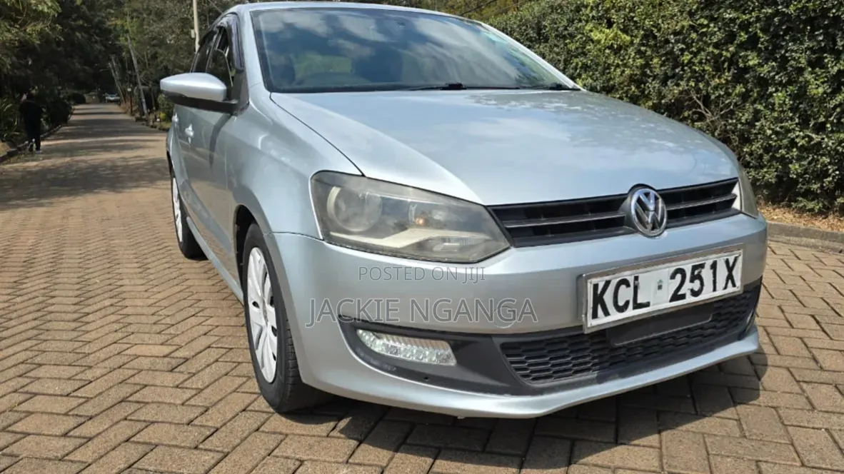 Volkswagen Polo 2011 Silver