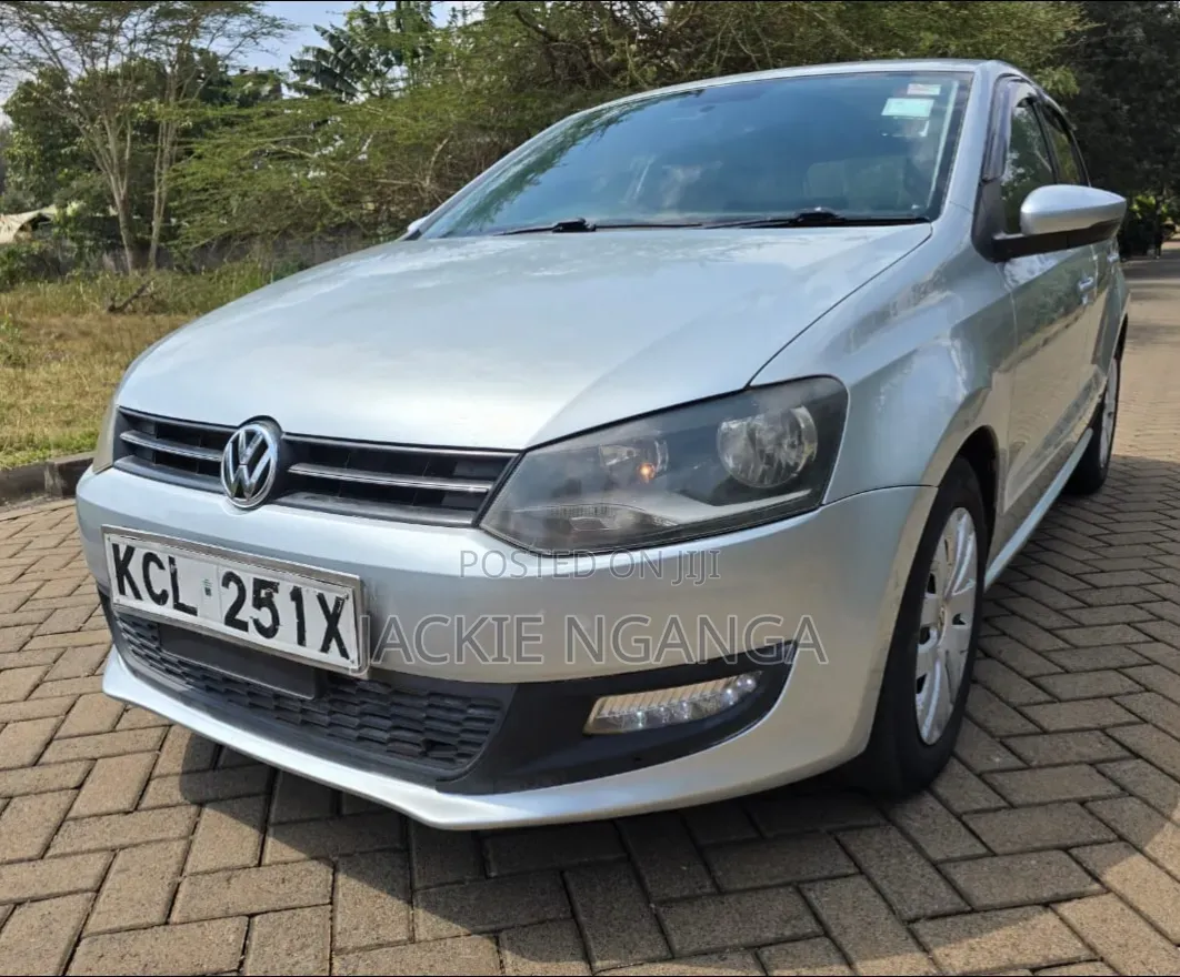 Volkswagen Polo 2011 Silver