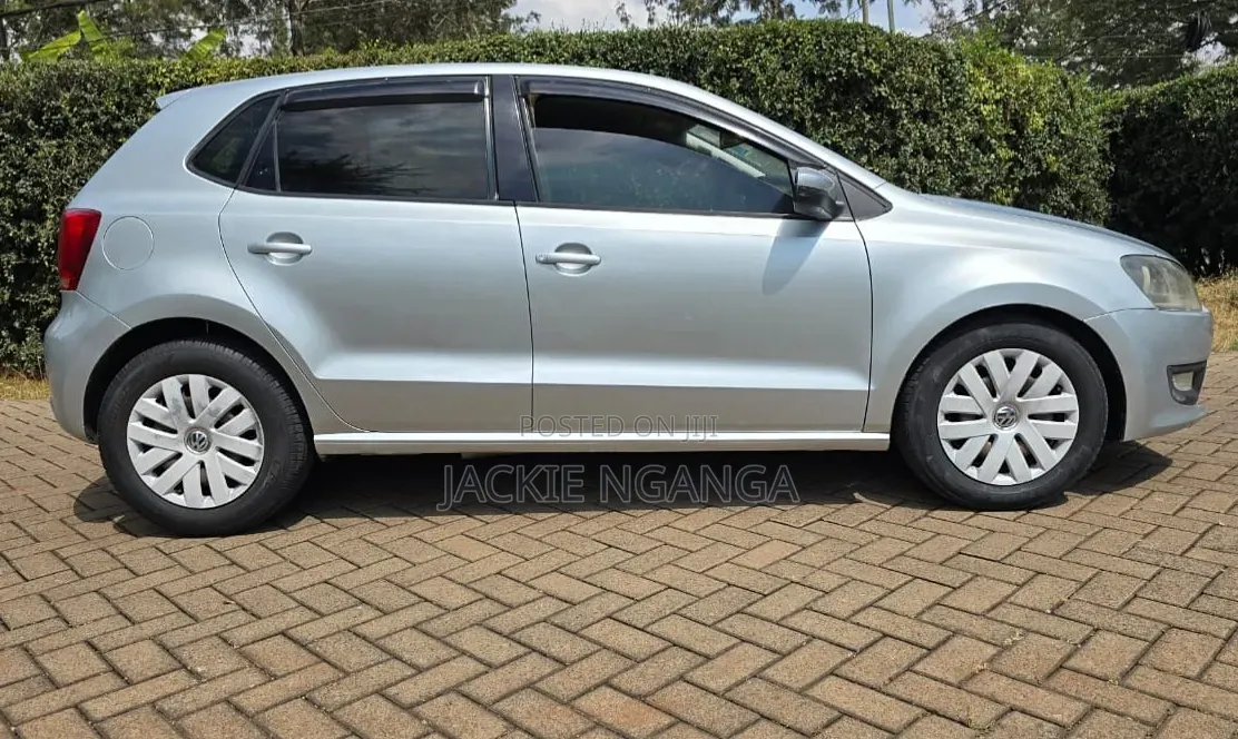 Volkswagen Polo 2011 Silver