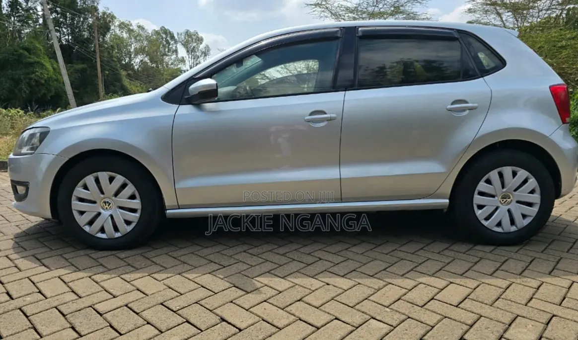 Volkswagen Polo 2011 Silver
