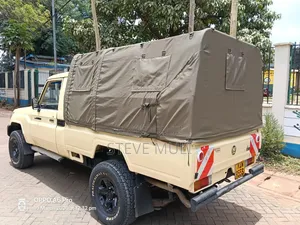Toyota Land Cruiser 2008 Gold