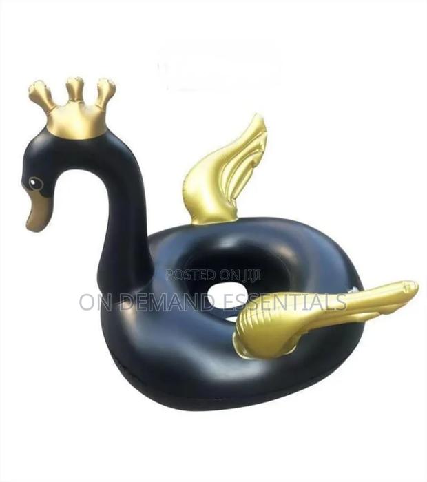 Swimming Ducks - main view