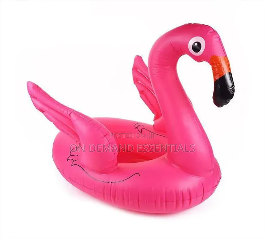 Swimming Ducks