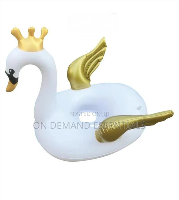 Swimming Ducks - thumbnail 4