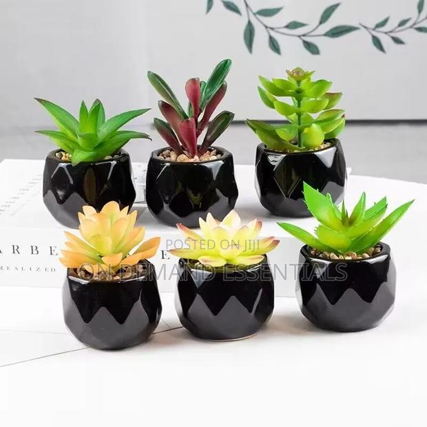 *Artificial Succulent Bonsai Plants With Pottery Pot - main view