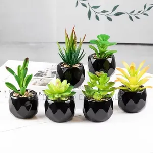 *Artificial Succulent Bonsai Plants With Pottery Pot