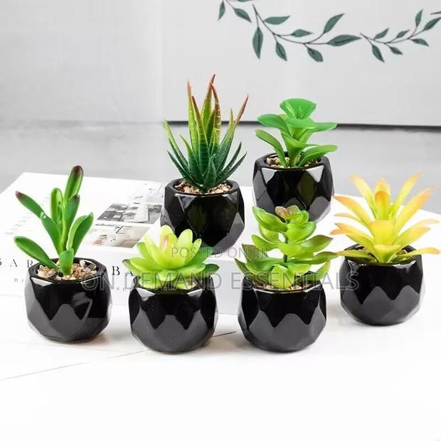 *Artificial Succulent Bonsai Plants With Pottery Pot - thumbnail 2