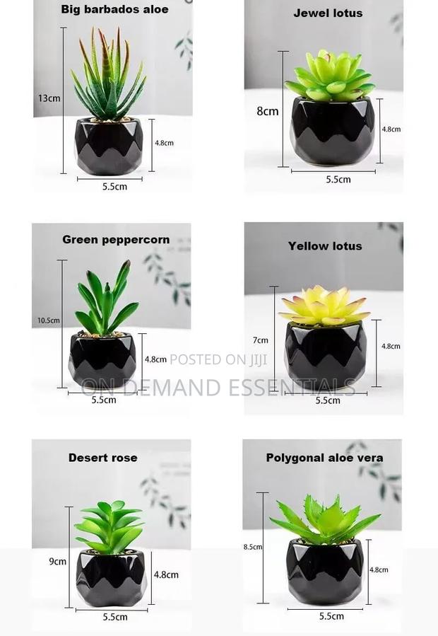 *Artificial Succulent Bonsai Plants With Pottery Pot - thumbnail 4