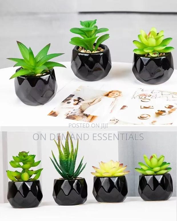 *Artificial Succulent Bonsai Plants With Pottery Pot - thumbnail 5