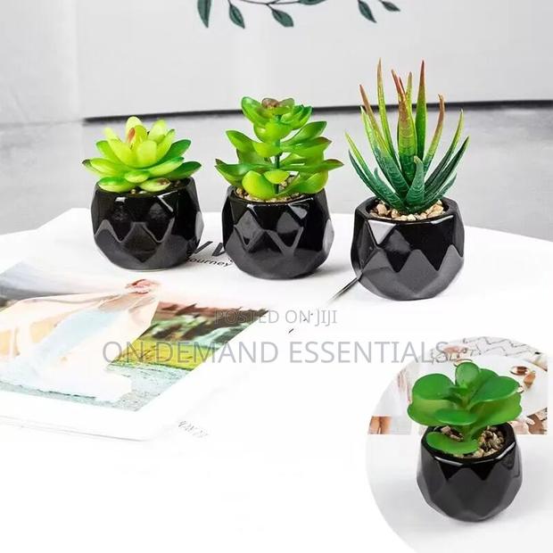 *Artificial Succulent Bonsai Plants With Pottery Pot - thumbnail 6