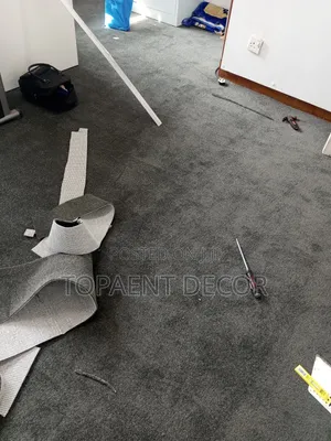 Gray Spongy Nonslip House Wall to Wall Carpets